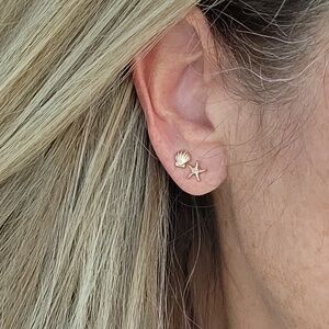 Gold Starfish and Scallop Shell Stud Earrings